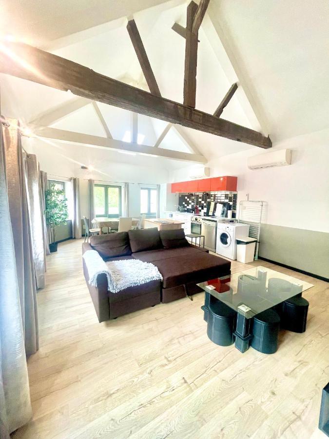 Appartements De Charme Dadou Mons Belgium المظهر الخارجي الصورة