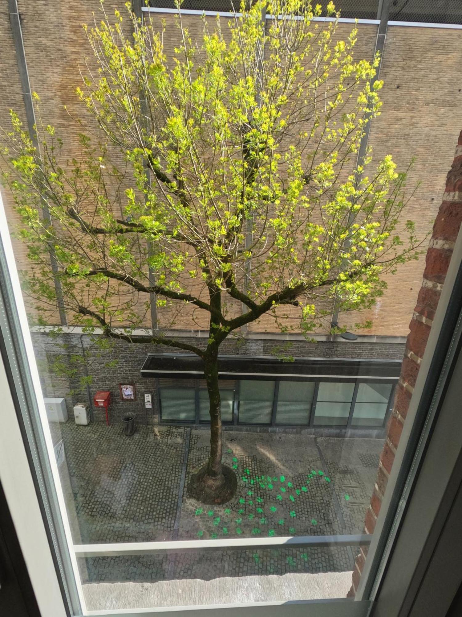 Appartements De Charme Dadou Mons Belgium المظهر الخارجي الصورة